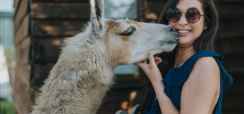 Paella Wedding Catering at Skipbridge Country Weddings